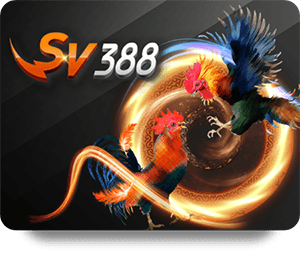 Unleash Fun and Excitement with 12BET Live Dealer Hot Experience